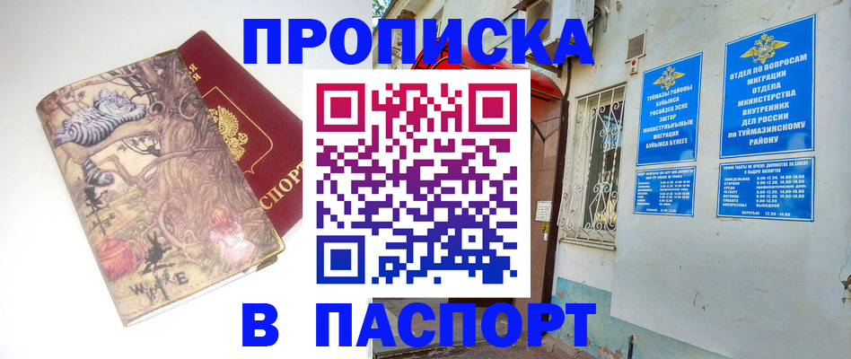 пропишу в квартире в Смоленской области